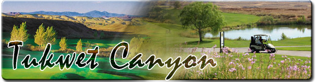 Menifee Lakes Golf