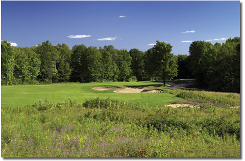 Golf Michigan