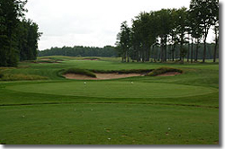 Michigan Golf