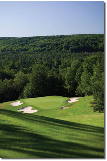 Treetops Michigan