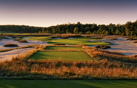 Forest Dunes Image