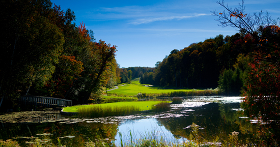 Treetops course
