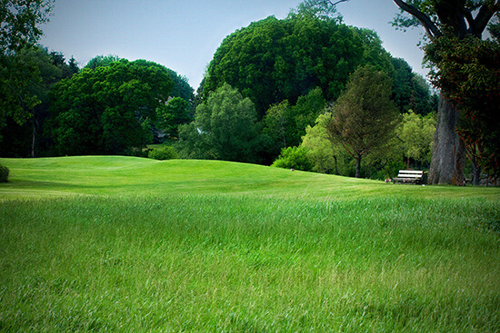 Dorchester course